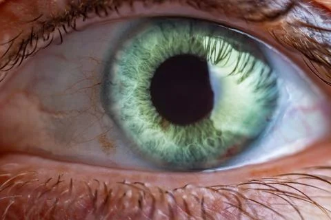Macro close up image of human eye Stock Photos