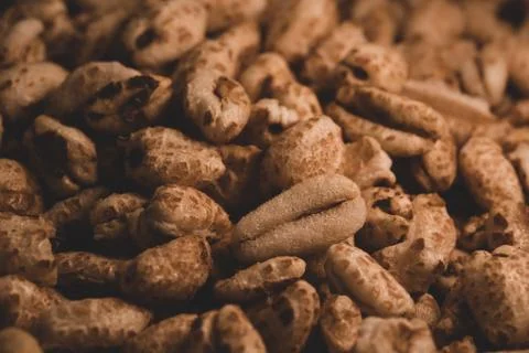 Macro close up of inflated wheat cereal, selective focus Foto stock