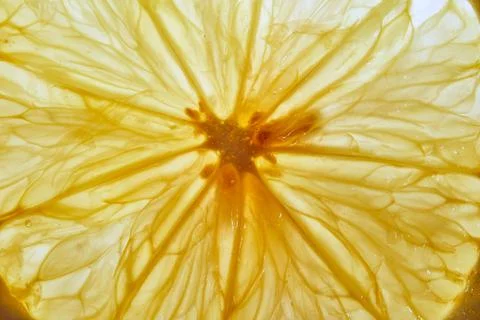 Macro close-up of a lemon. Transparent lemon texture. Macro detail of fresh Stock Photos