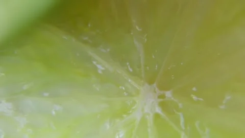 Macro Close Up of a Lime Slice Rotating on a White Background. Stock Footage 347245699