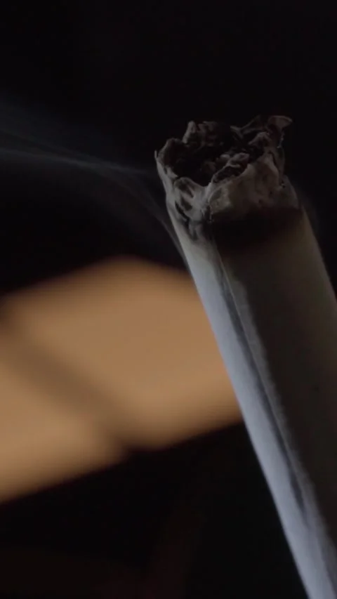 Macro close up of lit cigar with smoke and ash against dark background 库存影片 341915426