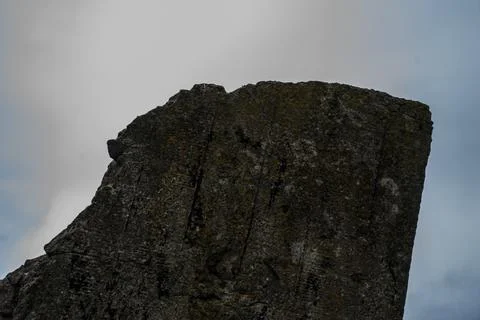 Macro close up moss of a stone 写真素材