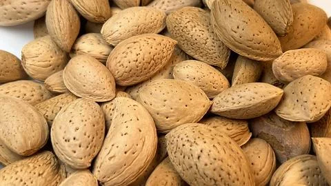 Macro Close Up of Natural Almonds with Shell Textures Stock Photos