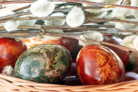 Macro Close-Up of Naturally Dyed Easter Eggs and Pussy Willows in Wicker Bask Stock Photos