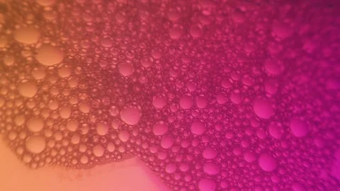 Macro close-up of numerous small bubbles on a pink and orange gradient Stock Footage 331941717