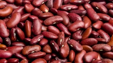 Macro close up of nutritious dried red kidney beans being scooped up with a w Stock Footage 62224080