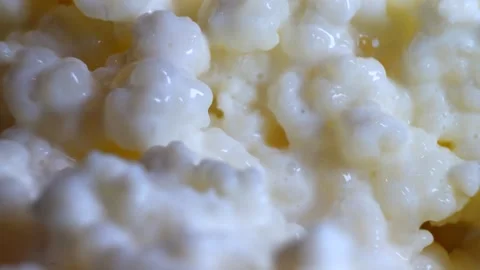 Macro Close Up of Organic Milk Kefir Grains Probiotic Texture Stock Footage 321908415