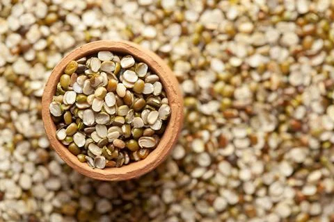 Macro Close up of Organic split green urad dal (Vigna mungo)   Full-Frame in  Stock Photos