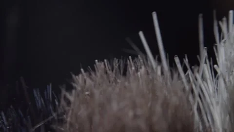 Macro close up of paintbrush bristles showing fine fibers and texture during Stock Footage 341916916