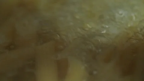 Macro Close Up of Pasta Cooking Stock Footage 76118143