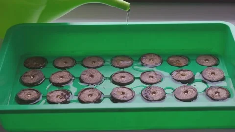 Macro close up of peat granules pouring water on expanding tablets Stock Footage 150758574