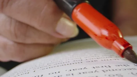 Macro close-up of person highlighting book as he reads Stock Footage 130596332