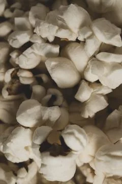 Macro close up of pop corns, selective focus Stock Photos
