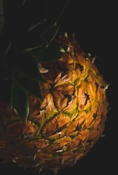 Macro close up portrait of a Pineapple, black background Stock Photos