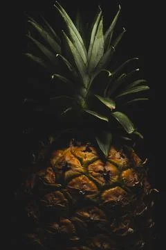 Macro close up portrait of a Pineapple, black background Stock Photos