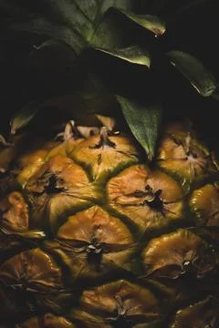 Macro close up portrait of a Pineapple, black background Stock Photos