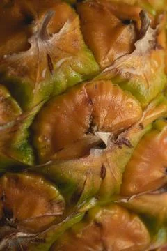 Macro close up portrait of a Pineapple, black background Stock Photos