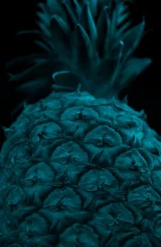Macro close up portrait of a Pineapple, black background Stock Photos