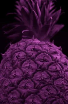 Macro close up portrait of a Pineapple, black background Foto stock