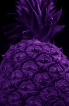 Macro close up portrait of a Pineapple, black background Stock Photos
