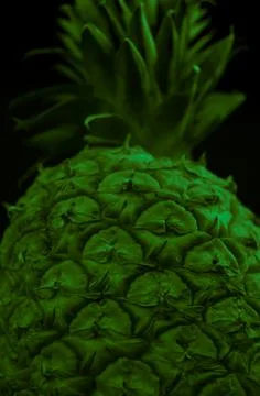 Macro close up portrait of a Pineapple, black background Stock Photos