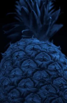 Macro close up portrait of a Pineapple, black background Stock Photos