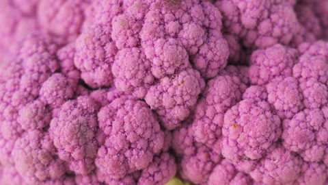 Macro close up of purple cauliflower texture and florets Stock Footage 346036637