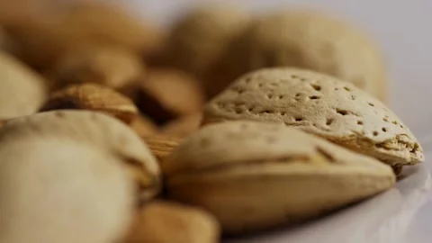 Macro close up of raw almond shells texture Stock Footage 328085986