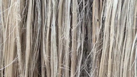 Macro Close Up Of Raw Golden Jute Fiber Texture With Tangled Fine Strands Stock Footage 340454426