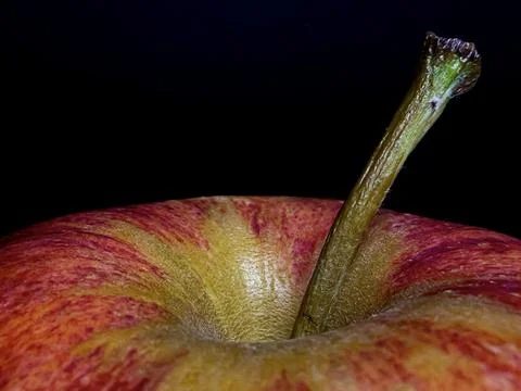 Macro Close-Up of Red Apple Stem and Skin Texture in Natural Light Stock Photos