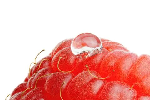Macro close up of a red raspberry Stock Photos