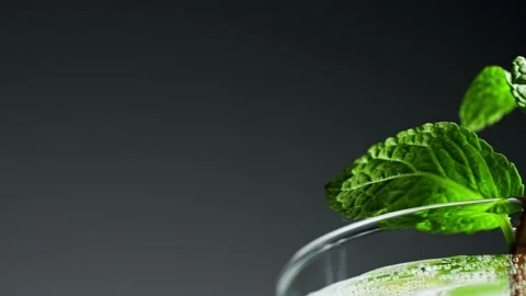 Macro close-up,refreshing soda tonic fizzy water, lime in Glass, ice. Slice of Stockbeeldmateriaal 148161396