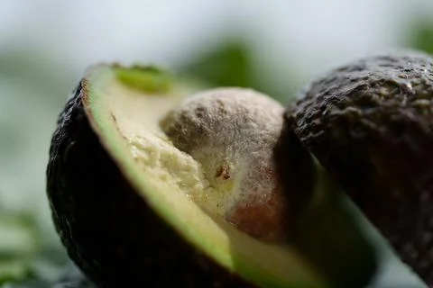 Macro close up of ripe avocado split open with seed exposed, revealing dark Stock-Fotos