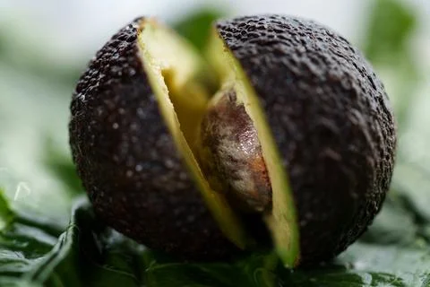 Macro close up of ripe avocado split open with seed exposed, revealing dark 库存照片