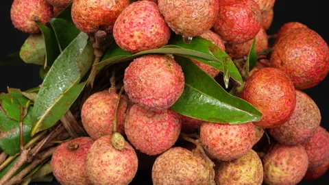 Macro Close Up of Ripe Lychee Bunch with Water Droplets Stock Footage 337325776