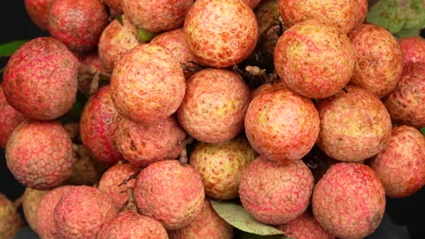 Macro Close Up of Ripe Lychee Bunch with Water Droplets Video stock 337326144