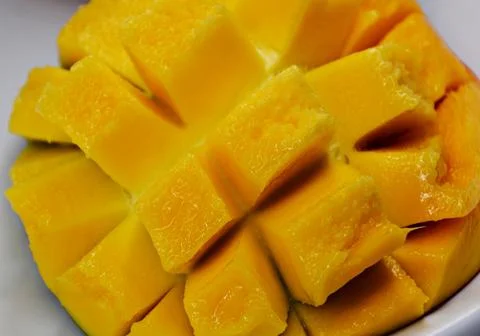 Macro close-up of a ripe mango hanging from a leafy tree branch, with dewdr.. 스톡 사진