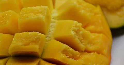 Macro close-up of a ripe mango hanging from a leafy tree branch, with dewdr.. Stock Photos