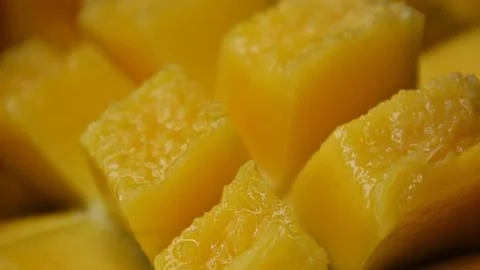 Macro close-up of a ripe mango hanging from a leafy tree branch, with dewdr.. 스톡 사진