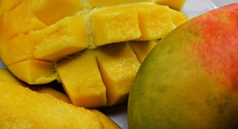 Macro close-up of a ripe mango hanging from a leafy tree branch, with dewdr.. Stock-Fotos