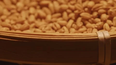 Macro Close-up of Roasted Peanuts Spilling from Traditional Bamboo Basket Vídeos de archivo 336524786