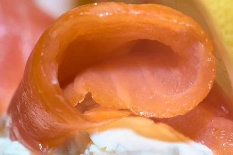 Macro close-up of a rolled slice of smoked salmon served on cream cheese Stock Photos