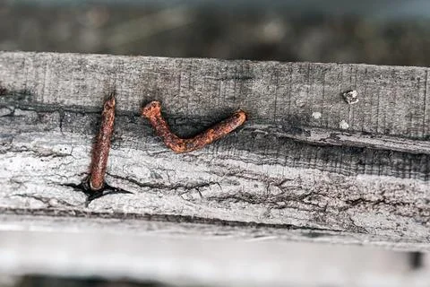 Macro close up of rusty bent nails in weathered old wood plank for vintage .. Stock Photos