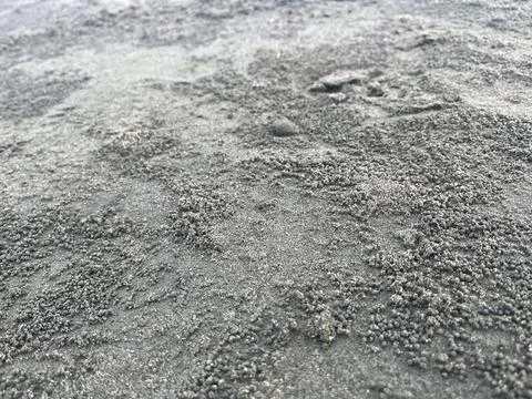 Macro Close Up Of Sand Bubbler Crab Pellets Texture On Grey Beach Stock Photos