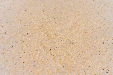 Macro close up sand texture. Background from fine sand. Stock Photos