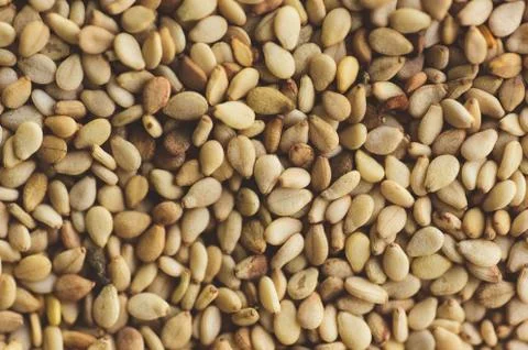 Macro close up of sesame seeds, Selective focus Stock Photos