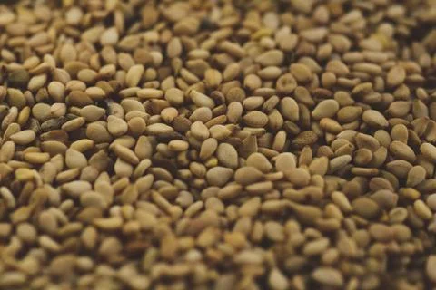 Macro close up of sesame seeds, Selective focus Stock Photos