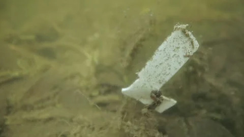 Macro close-up shot of contaminated water on lake Stock Footage 132212504