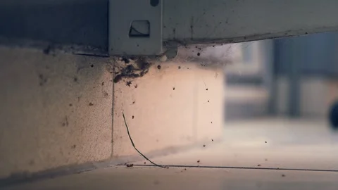 Macro close up shot, dust under air conditioning, 4K. Stock Footage 129318115