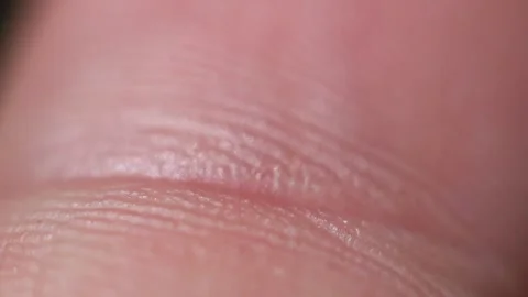 Macro close up shot from a man finger and finger prints Stock Footage 254600830